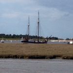 Albatros heading out