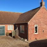 Wagtails from the road